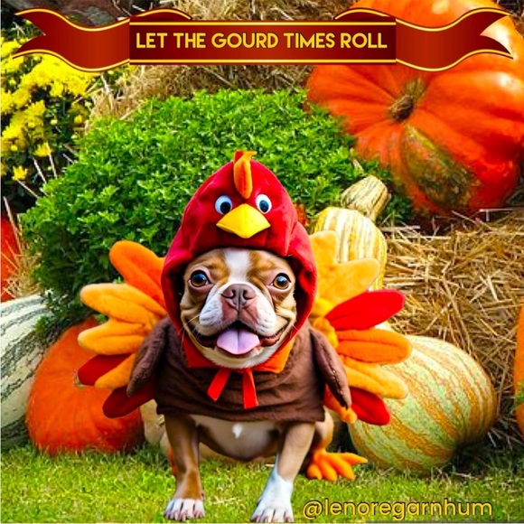 Other - 🍁🍂 🦃 🐶 🍂 🍁